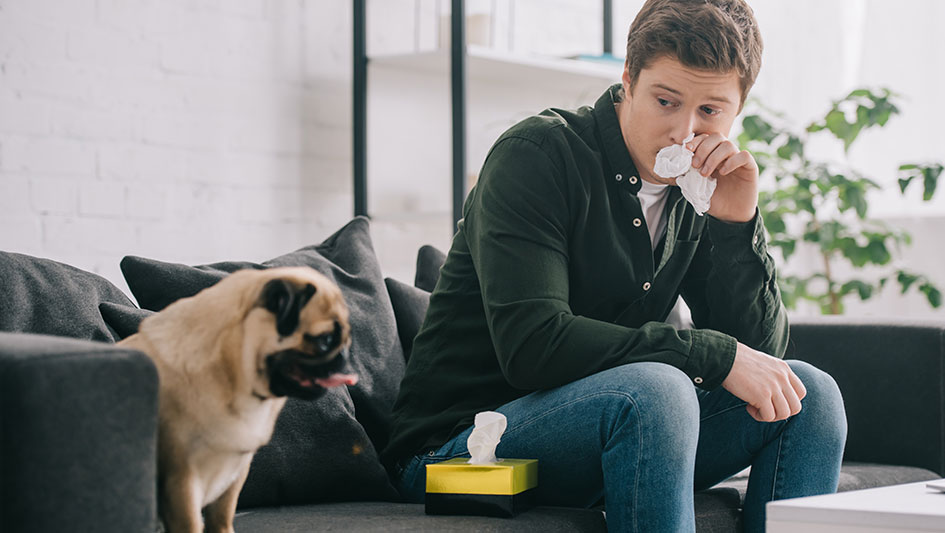 Getting an air purifier is one of the top ways to boost your house’s indoor air quality. Discover more about the three smartest solutions. 